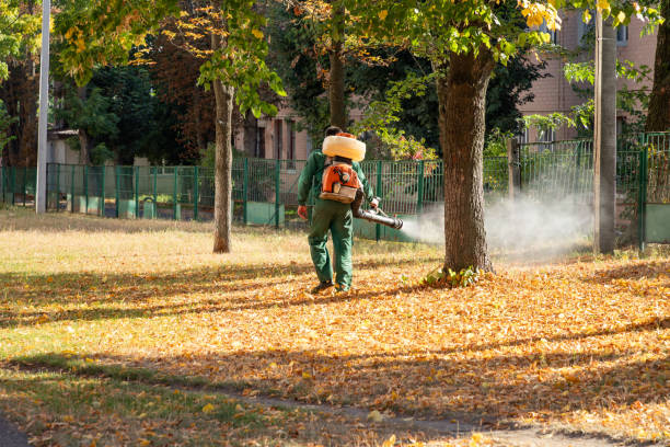 Best Local Pest Control Services  in Northlake, TX