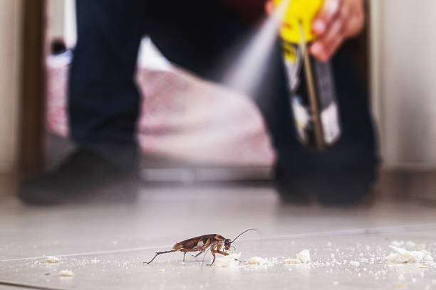 Northlake, TX Pest Control Company